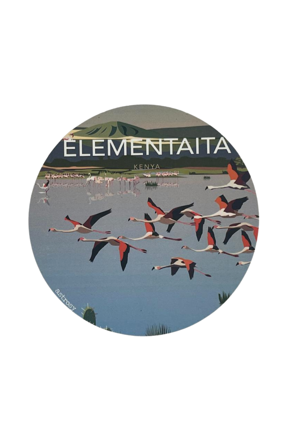 Travel Memory Magnet - Set 7