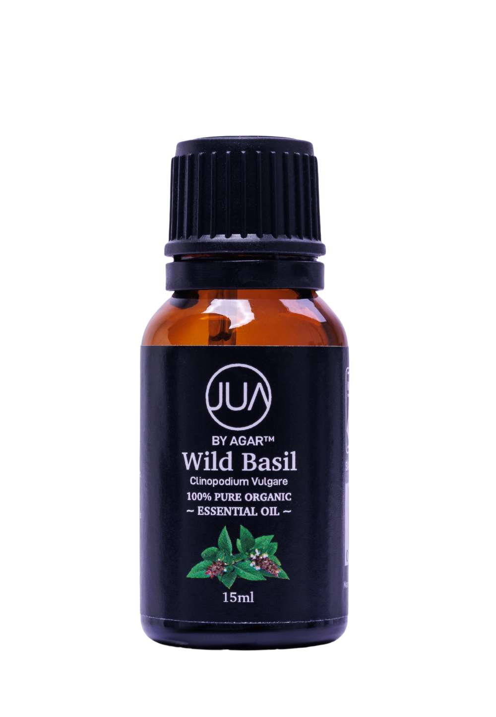 Wild Basil Essential Oil